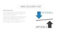 PowerPoint Infographic - Two Options