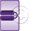 Download boxprocess06 purple PowerPoint Graphic and other software plugins for Microsoft PowerPoint