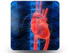 Anatomy Heart 01 Square PPT PowerPoint Image Picture