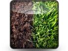 Grass And Soil Square PPT PowerPoint Image Picture