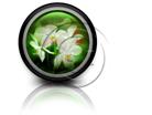 Download orchids c PowerPoint Icon and other software plugins for Microsoft PowerPoint