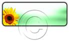 Download sunflower h PowerPoint Icon and other software plugins for Microsoft PowerPoint