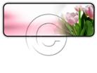 Download tulips01 h PowerPoint Icon and other software plugins for Microsoft PowerPoint