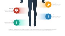 PowerPoint Infographic - 058 Body Anatomy