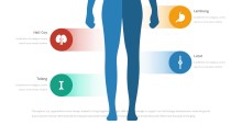 PowerPoint Infographic - 060 Body Anatomy