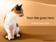 Download cat PowerPoint Template and other software plugins for Microsoft PowerPoint
