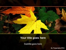 Download fall leaf PowerPoint Template and other software plugins for Microsoft PowerPoint