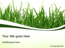 Download grass blades PowerPoint Template and other software plugins for Microsoft PowerPoint