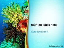 Download marine life PowerPoint Template and other software plugins for Microsoft PowerPoint