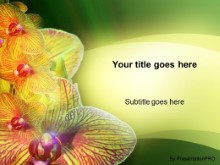 Download orchid swoosh PowerPoint Template and other software plugins for Microsoft PowerPoint