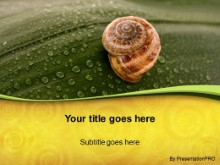 Download snail on leaf PowerPoint Template and other software plugins for Microsoft PowerPoint