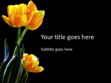 Tulips Trio PPT PowerPoint Template Background