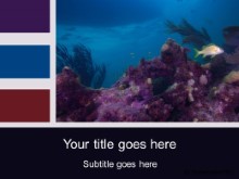 Download scuba scene PowerPoint Template and other software plugins for Microsoft PowerPoint