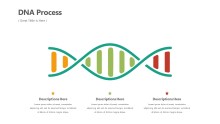 PowerPoint Infographic - DNA Infographic Layout