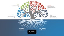 PowerPoint Infographic - Tree Growth