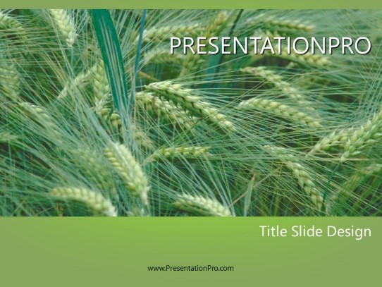 Barley PowerPoint Template title slide design