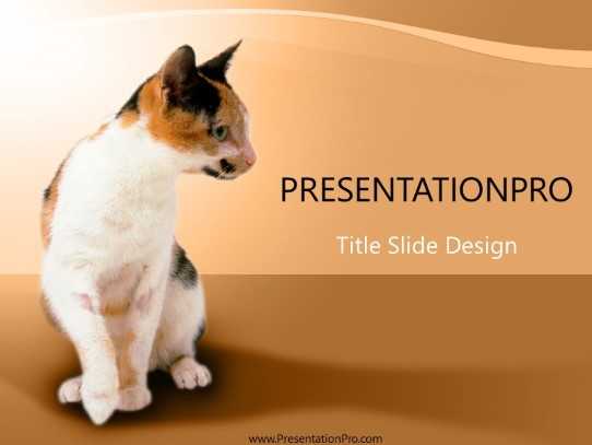 Cat PowerPoint Template title slide design