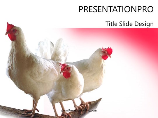 Chickens PowerPoint Template title slide design