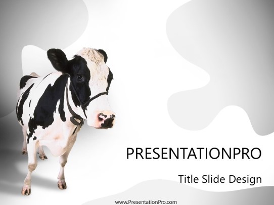 Cow 2 PowerPoint Template title slide design