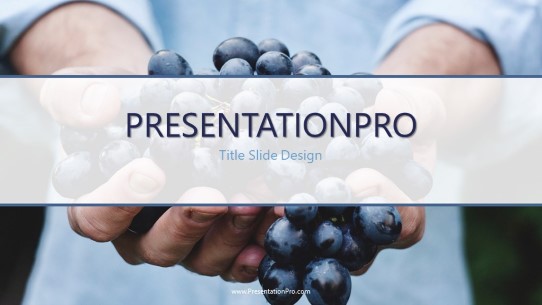 Fresh Blue Berries Widescreen PowerPoint Template title slide design