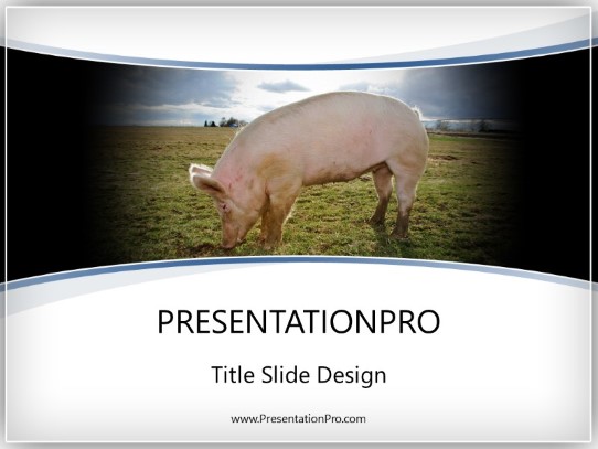 Piggy PowerPoint Template title slide design