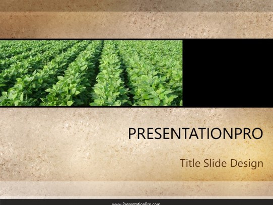 Soybean Patch PowerPoint Template title slide design