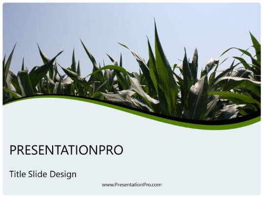 Summer Corn Crop PowerPoint Template title slide design