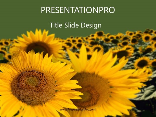 Sunflowers PowerPoint Template title slide design