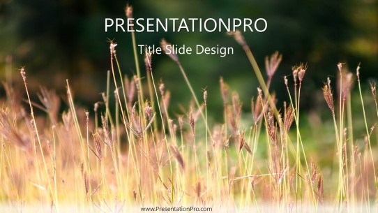 Wheat Field 01 Widescreen PowerPoint Template title slide design