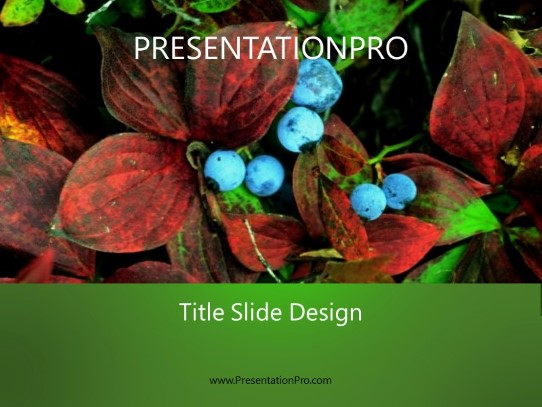 Blue Berries PowerPoint Template title slide design