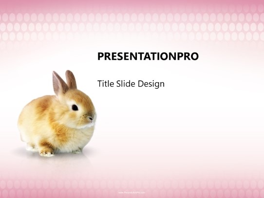 Beautiful Bunny PowerPoint Template title slide design