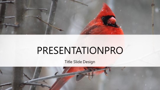 Winter Cardinal Widescreen PowerPoint Template title slide design
