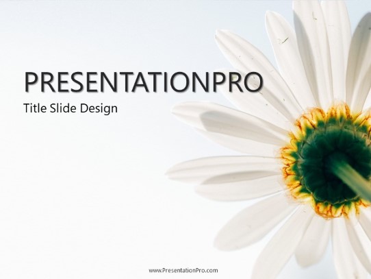 Daisy PowerPoint Template title slide design