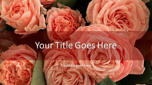 Pink Roses Widescreen PowerPoint Template title slide design