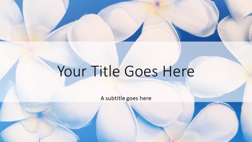 Plumeria Flowers Widescreen PowerPoint Template title slide design