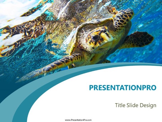 Swimming Turtle PowerPoint Template title slide design