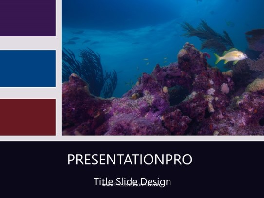 Scuba Scene PowerPoint Template title slide design