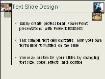 Business16 PowerPoint Template text slide design