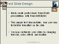 Business16 PowerPoint Template text slide design
