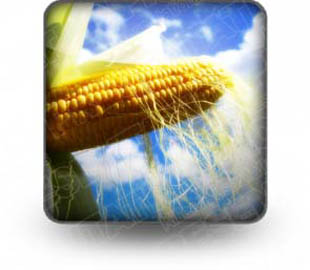 Download corn b PowerPoint Icon and other software plugins for Microsoft PowerPoint