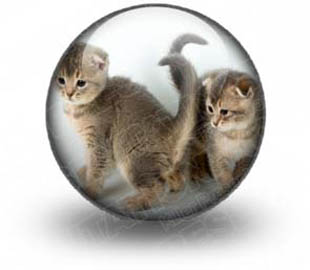 Download sth kittens s PowerPoint Icon and other software plugins for Microsoft PowerPoint