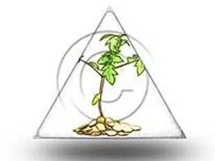 Money Plant Color Pencil TRI PPT PowerPoint Image Picture