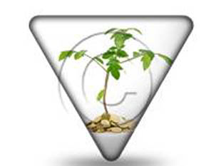 Money Plant Sign PPT PowerPoint Image Picture