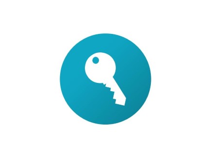 Flat Security Key 01 Circle PPT PowerPoint Image Picture