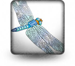 Download insects dragonfly b PowerPoint Icon and other software plugins for Microsoft PowerPoint