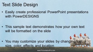 4 Chickens Widescreen PowerPoint Template text slide design