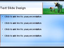 Cattle Graze Blue PowerPoint Template text slide design