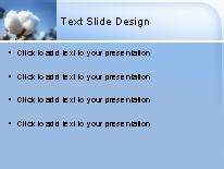 Cotton Bloom PowerPoint Template text slide design