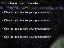 Grapes PowerPoint Template text slide design