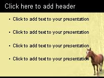 Horse 2 PowerPoint Template text slide design